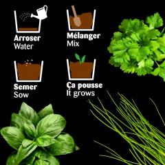 Set de plantat - Plante aromatice Bio