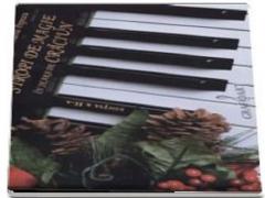 Stropi de magie in seara de Craciun