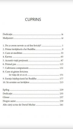 Budism pentru oameni ocupati