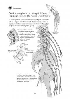 Anatomie pentru yoga