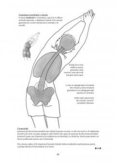 Anatomie pentru yoga