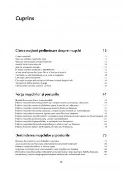 Anatomie pentru yoga