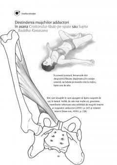 Anatomie pentru yoga