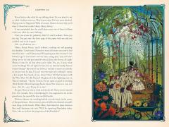 Harry Potter and the Chamber of Secrets