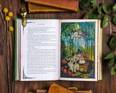 Harry Potter and the Chamber of Secrets