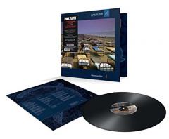 A Momentary Lapse of Reason - Vinyl