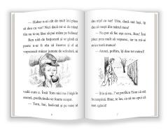 Aventurile lui Tom Sawyer