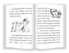 Aventurile lui Tom Sawyer