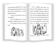 Aventurile lui Tom Sawyer