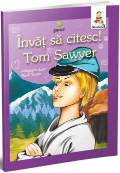 Aventurile lui Tom Sawyer