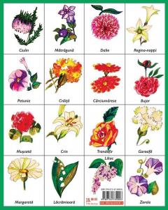 Luna-Betiluna, Dora-Minodora si gradina