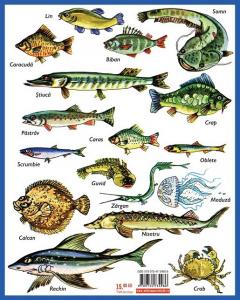 Luna-Betiluna si Dora-Minodora in tara lui Peste-Mamaliga-Prapadeste