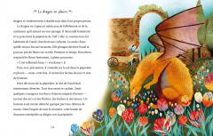Histoires de dragons illustrees