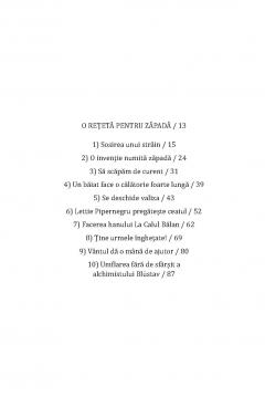 Negutatorul de zapada 