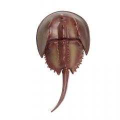 Figurina - Horseshoe Crab
