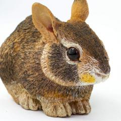 Figurina - Eastern Cottontail Rabbit Baby