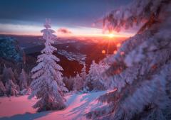 Romania Salbatica / Wild Romania