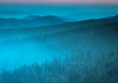 Romania Salbatica / Wild Romania