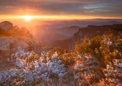 Romania Salbatica / Wild Romania