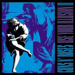 Use Your Illusion II - Vinyl