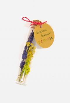 Martisor - Sticluta H8 Pluta Plante Prezervate - Lavanda