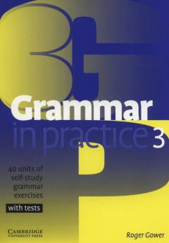 Grammar In Practice 3