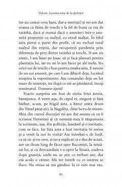 Vulcan. Lumina vine de la Asfintit