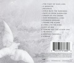 Let England Shake - Vinyl