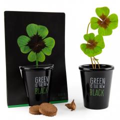 Kit pentru plantat cu seminte de trifoi cu 4 foi - Green is the New Black