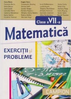 Matematica pentru clasa a VII -a exercitii si probleme
