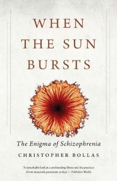 When the Sun Bursts - The Enigma of Schizophrenia