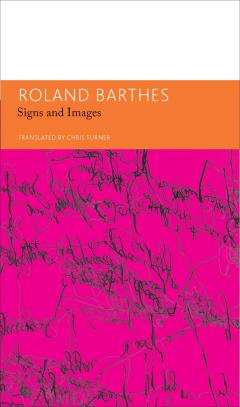 Signs and Images: Writings on Art, Cinema and Photography