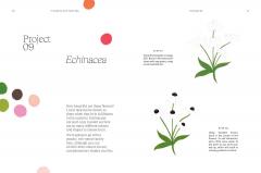 15-Minute Art Painting