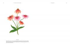 15-Minute Art Painting