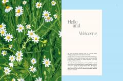 15-Minute Art Painting