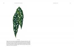 15-Minute Art Painting