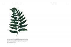 15-Minute Art Painting