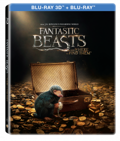 Animale Fantastice si unde le poti gasi 3D (Blu Ray Disc) Steelbook / Fantastic Beast and Where to Find Them
