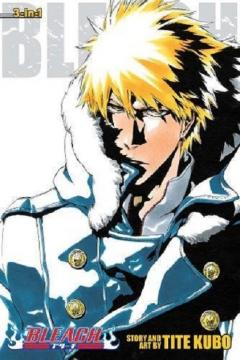 Bleach 3-in-1 Edition - Volume 17