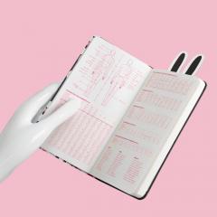 Carnet pentru schite Fashionary A6 - Peter Jensen Ruled