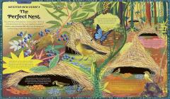 What Are You Doing Today, Mother Nature?