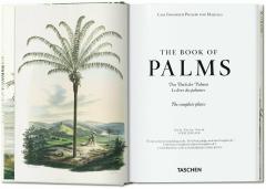 The Book of Palms