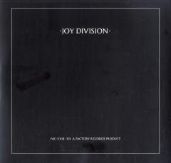 Love Will Tear Us Apart - Vinyl