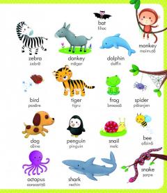 Primul meu dictionar englez-roman 