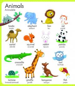 Primul meu dictionar englez-roman 