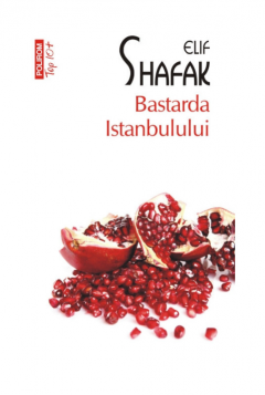 Bastarda Istanbulului