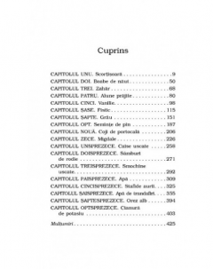 Bastarda Istanbulului