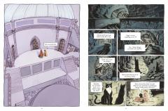 The Will that Shapes the World