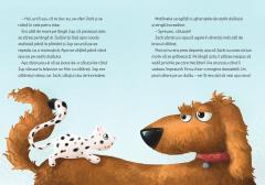 Jboara, Costica, jboara!