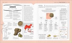 The Science of Spice